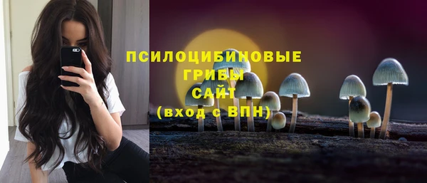 ГАЛЛЮЦИНОГЕННЫЕ ГРИБЫ Вязники